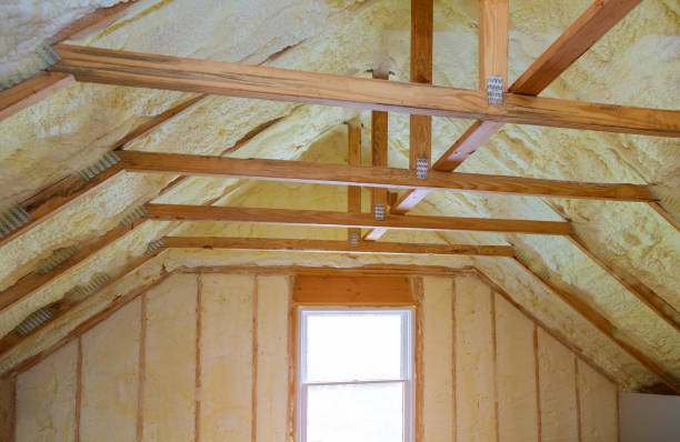 Best Local Insulation Services  in Cove Creek, NC
