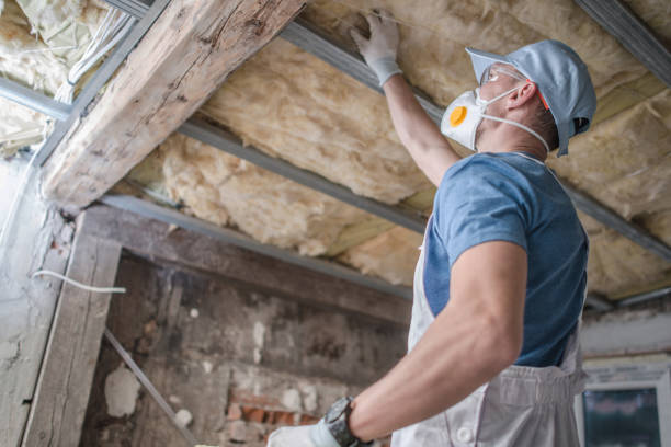 Best Wall Insulation Contractor  in Cove Creek, NC