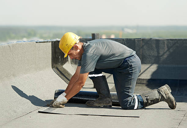 Best Insulation Installation Cost  in Cove Creek, NC