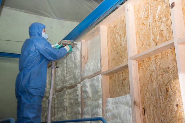 Best Insulation for Commercial Buildings  in Cove Creek, NC