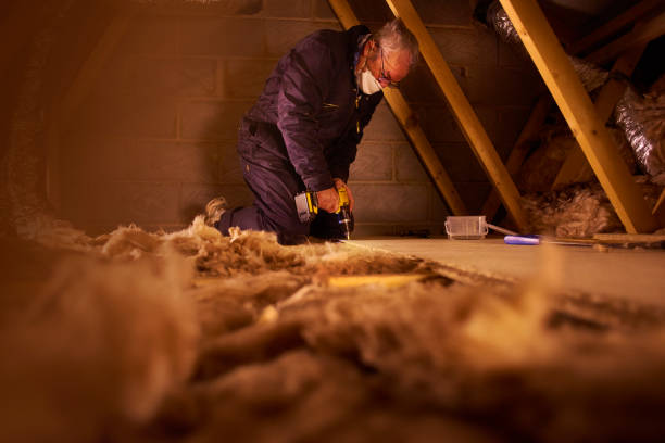 Best Insulation Removal  in Cove Creek, NC